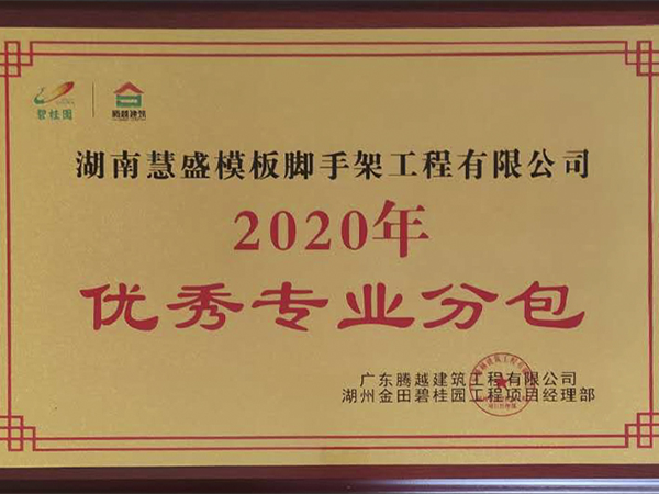 2020年度優(yōu)秀專(zhuān)業(yè)分包
